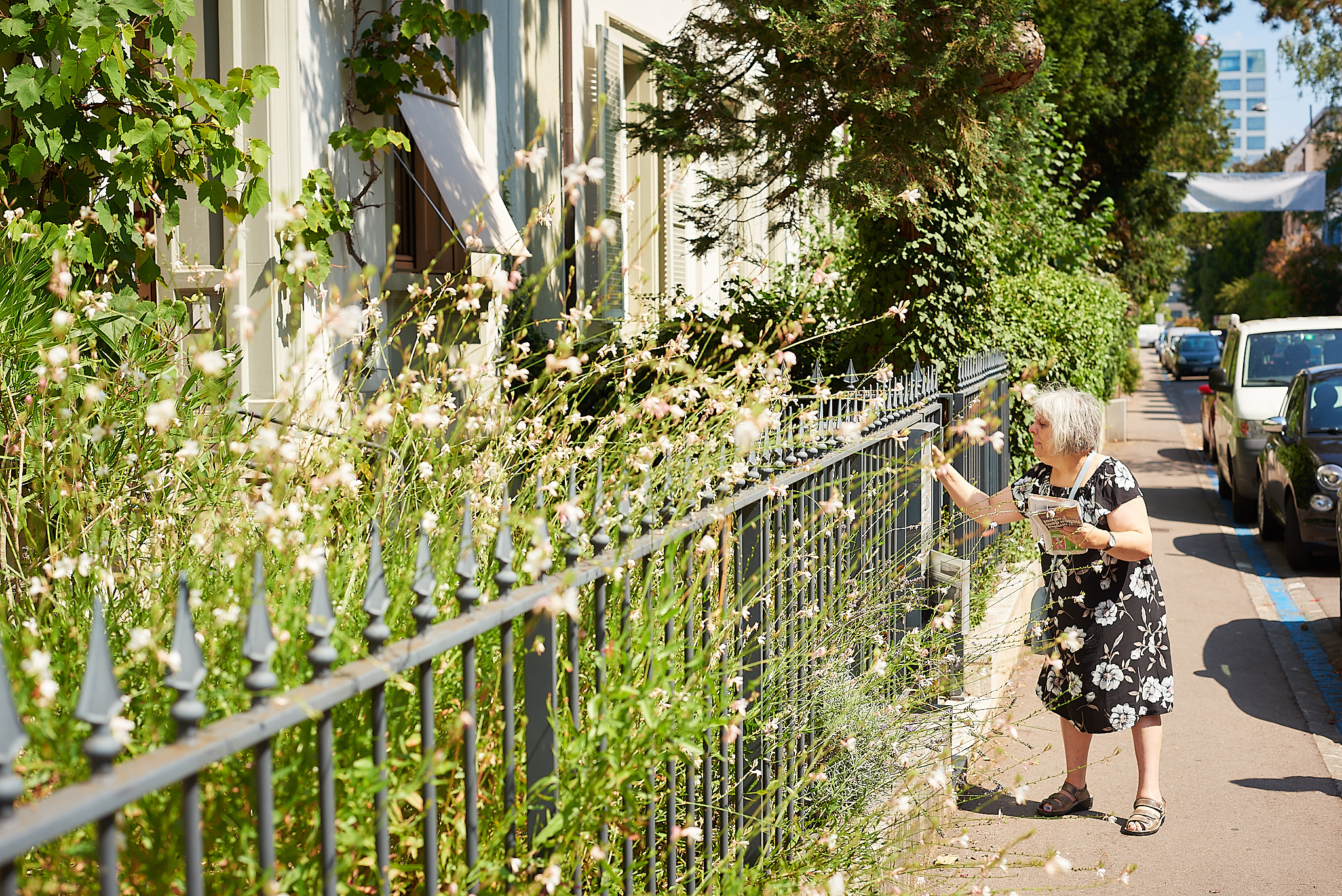 web_friedensgasse_4298